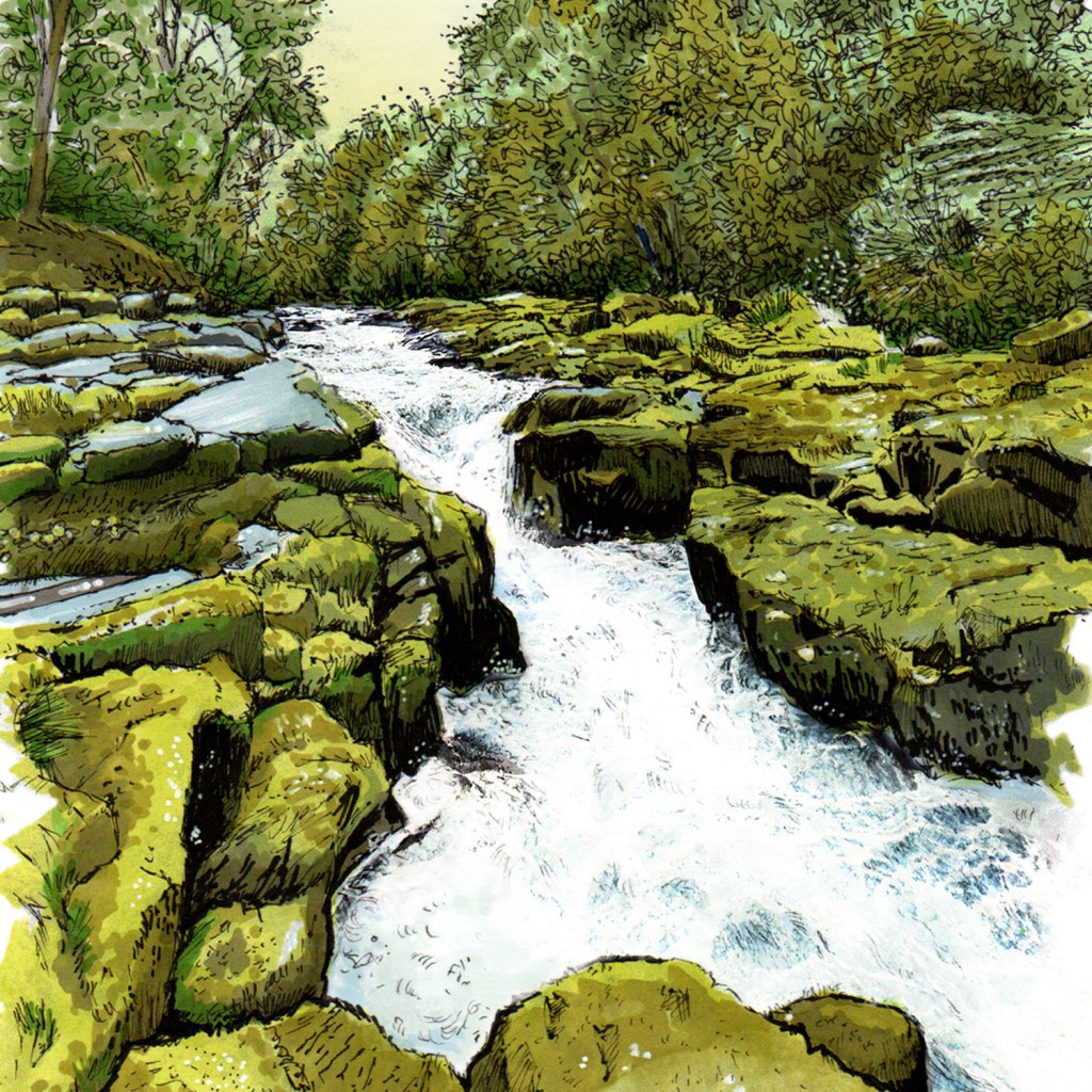 The Strid